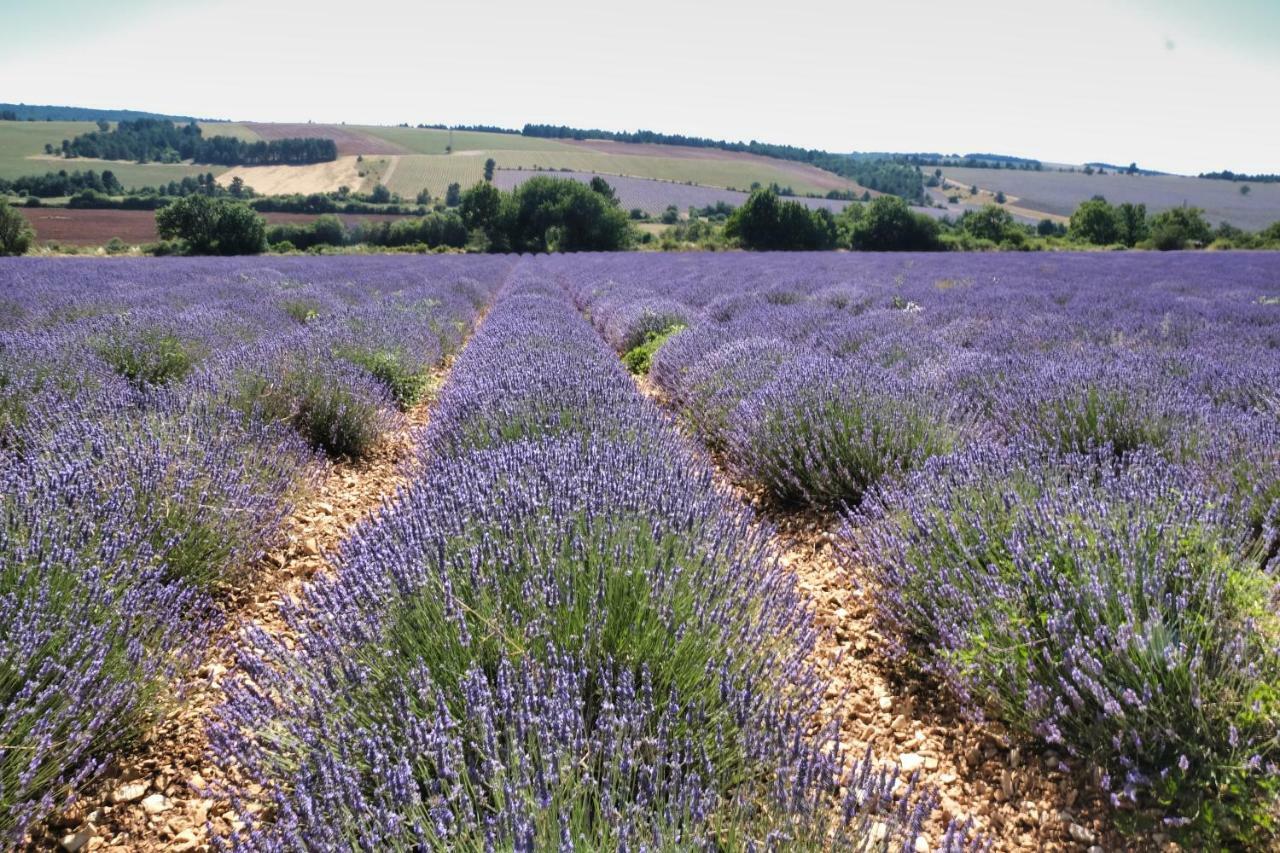 La Bastide Au Ventoux Bed & Breakfast Bedoin Bagian luar foto